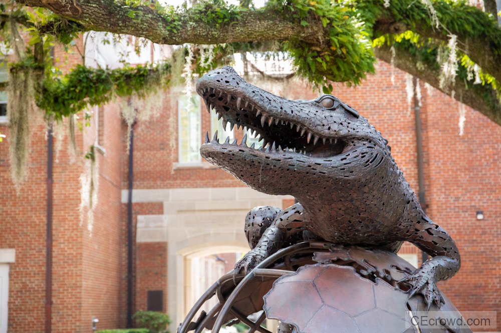 Featured image for FL AGD Mastertrack Program »  Continuing Dental Education » College of Dentistry » University of Florida FL AGD Mastertrack Program » Continuing Dental Education » College of Dentistry » University of Florida