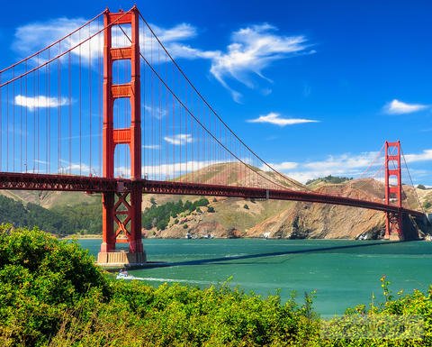 HSDM in the Bay Area: Continuing Education and Alumni Connections