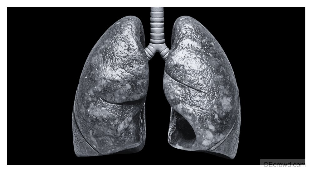 Airway Issues in Dentistry